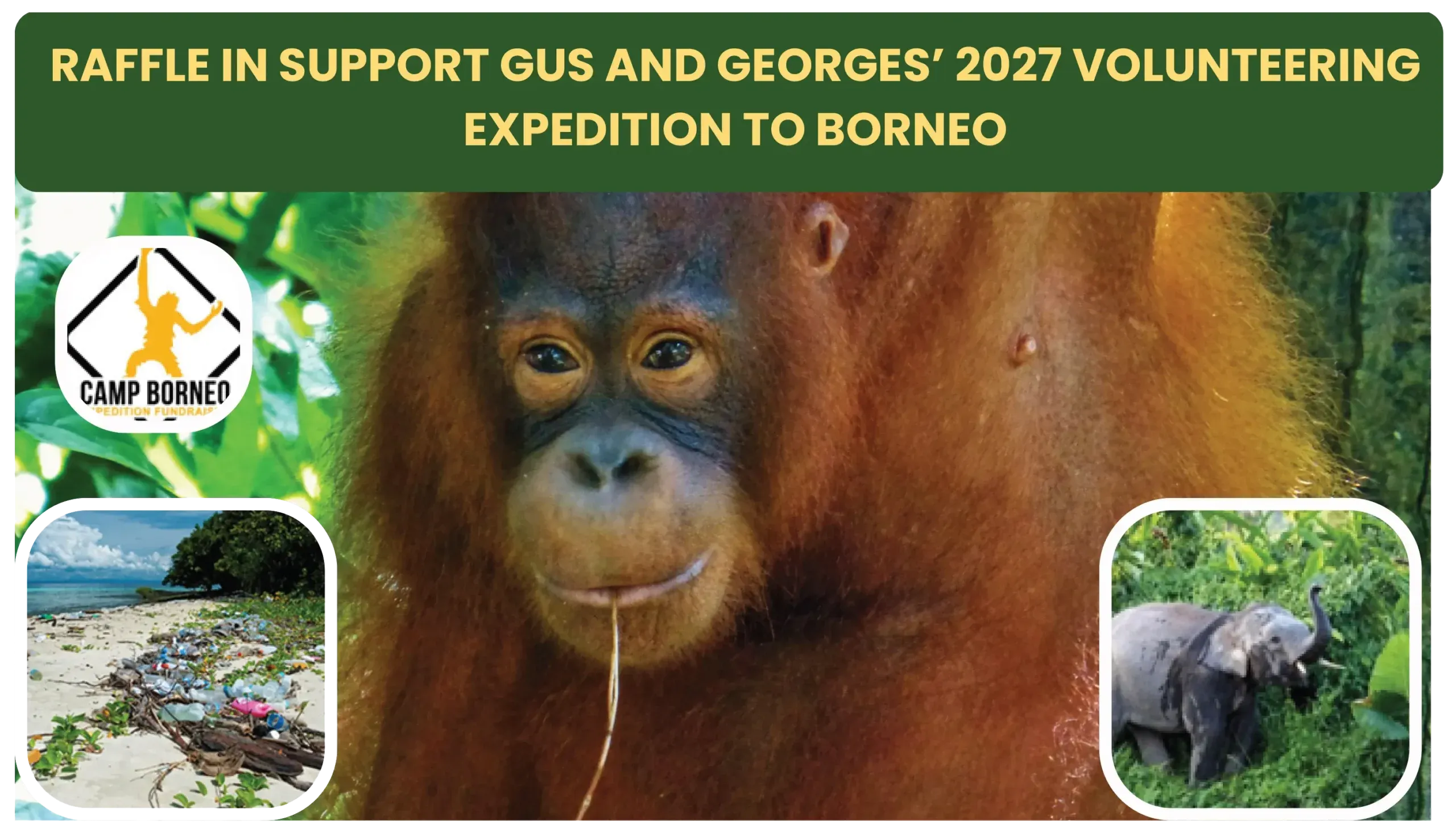 RAFFLE IN SUPPORT GUS AND GEORGES’ 2027 VOLUNTEERING EXPEDITION TO BORNEO