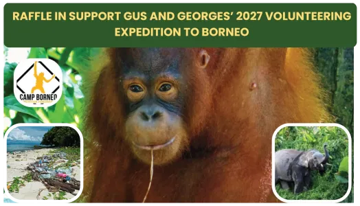 RAFFLE IN SUPPORT GUS AND GEORGES’ 2027 VOLUNTEERING EXPEDITION TO BORNEO